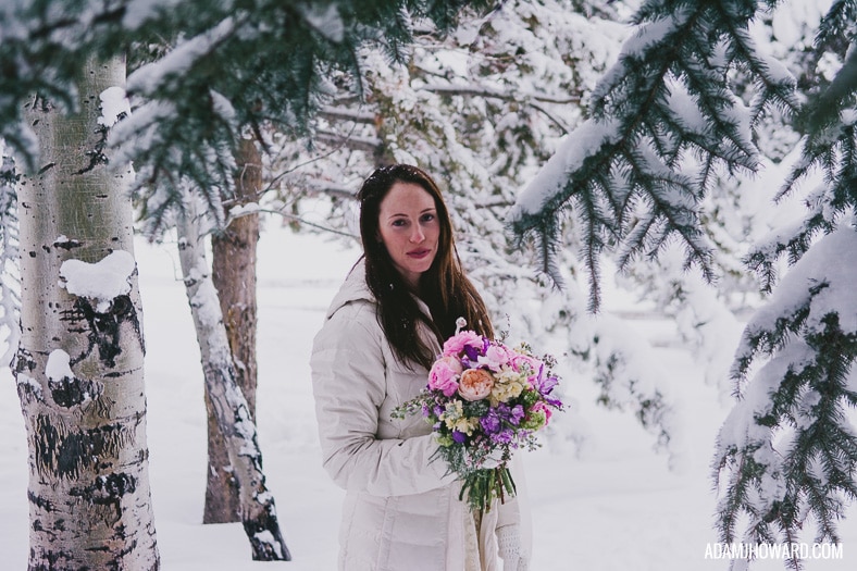 Bridal Portrait of Beautiful Bride in the winter