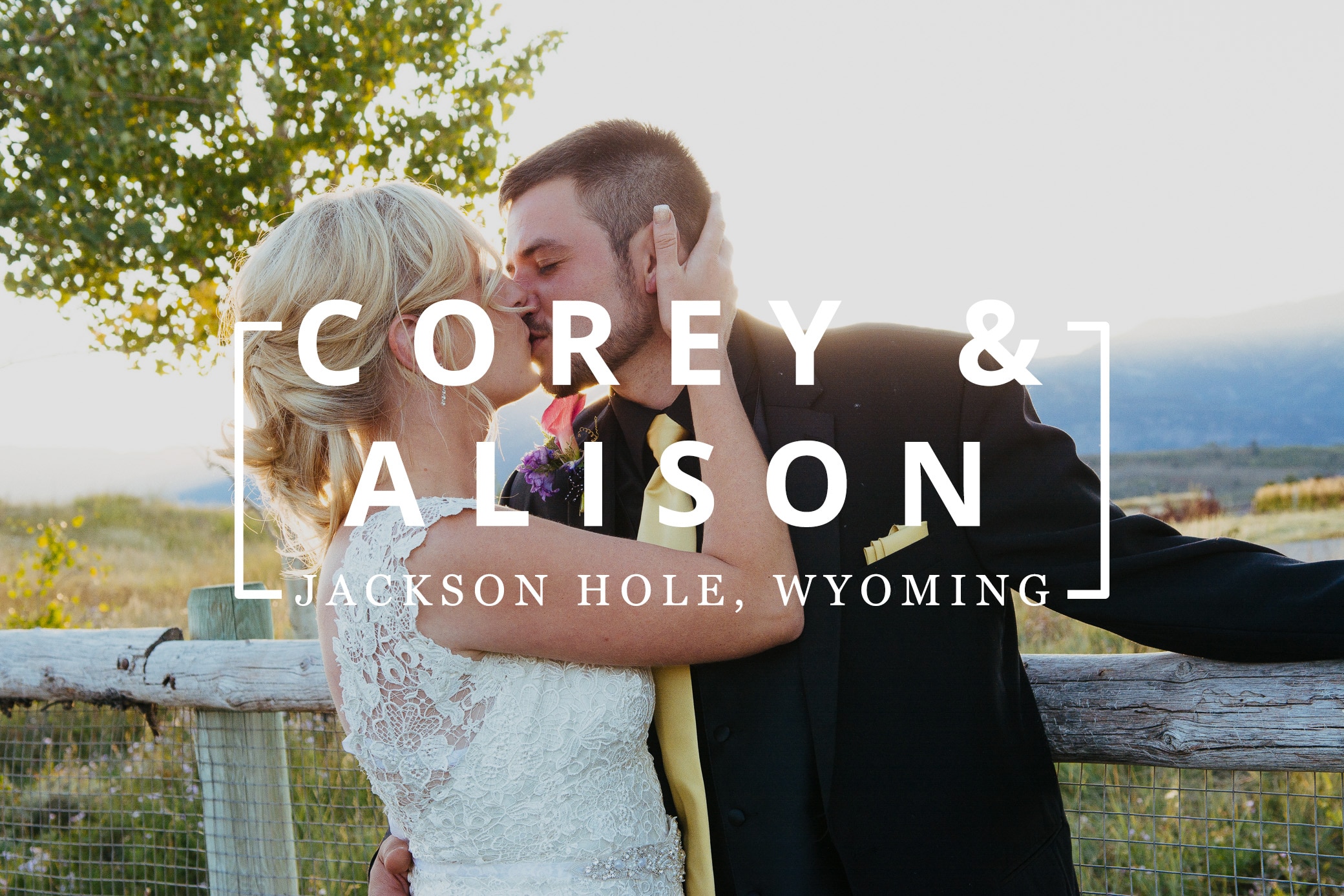 jackson-hole-spring-creek-ranch-wedding-tree-photographer